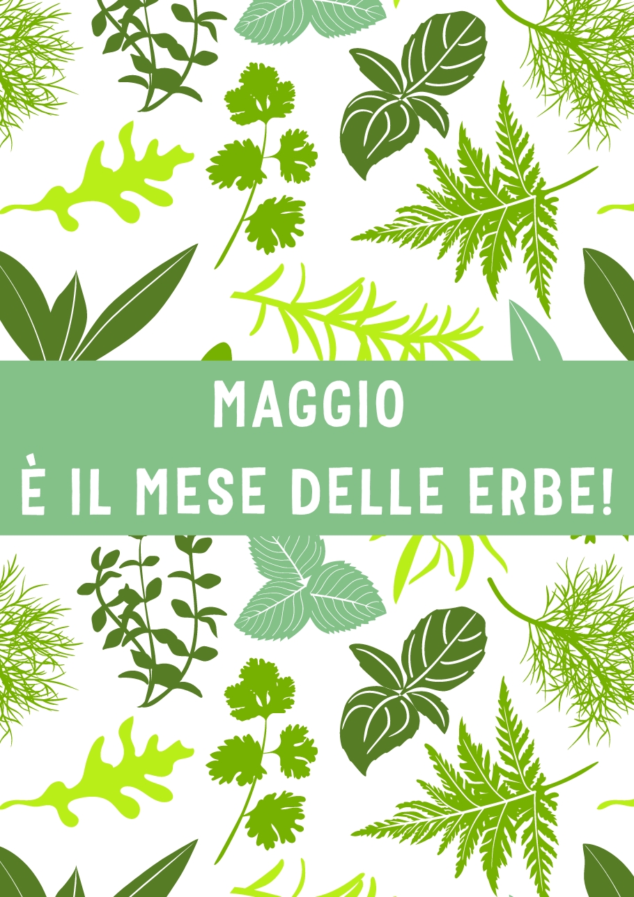 MAGGIO È IL MESE DELLE ERBE!